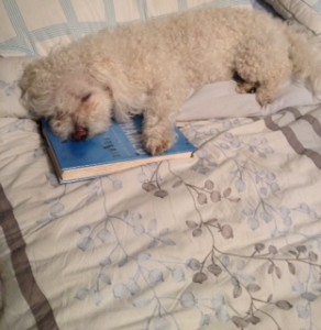 Nothing like falling asleep with a good book.