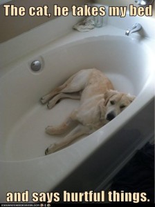 bathtub dog