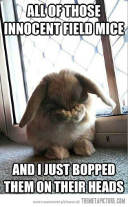 funny-cute-bunny-covering-face